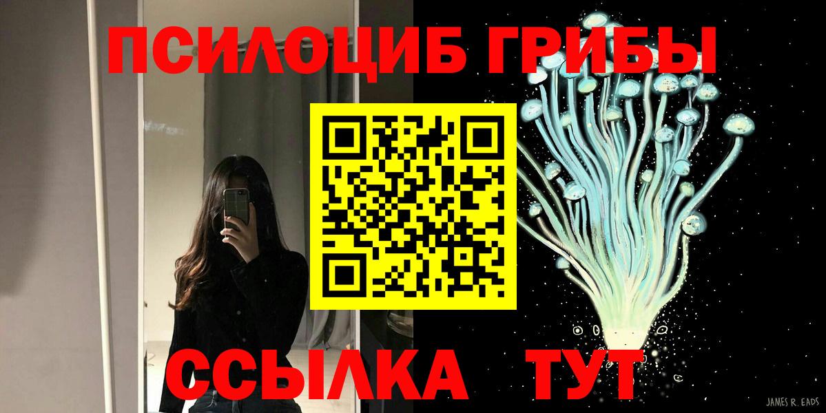 Галлюциногенные грибы Cubensis Домодедово